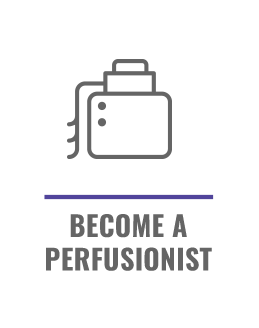 Become a Perfusionist